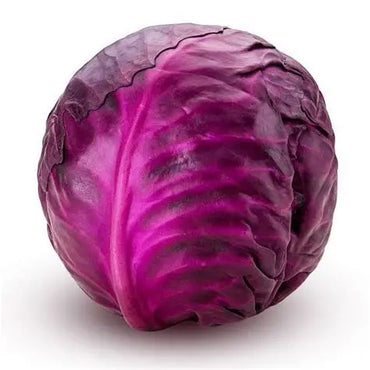 Cabbage Red premium quality Oman 🇴🇲