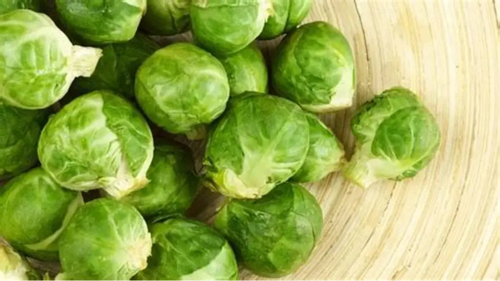 Brussel Sprouts Holland 🇳🇱