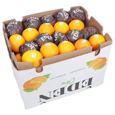 Orange Valencia Egypt 🇪🇬 Approx