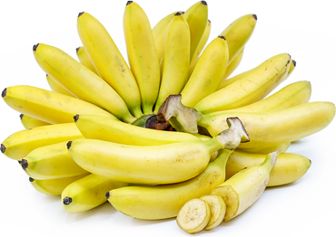 Baby Banana Premium Quality Oman 🇴🇲