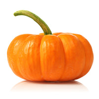 Pumpkin Red Organic India 🇮🇳