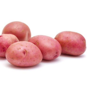 Red potato premium Pakistan 🇵🇰