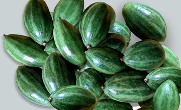 Pointed Gourd (Parwal) Premium india 🇮🇳