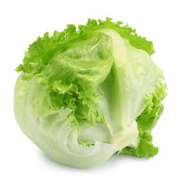Lettuce Iceberg  Organic Oman 🇴🇲