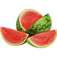 Watermelon Premium Quality Vietnam 🇻🇳