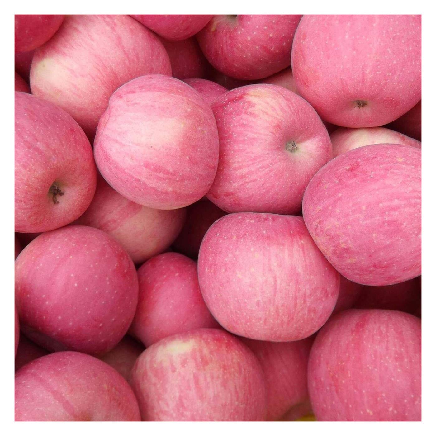 Apple Fuji china 🇨🇳