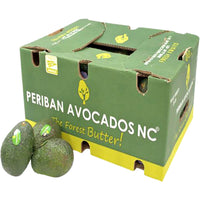 Avocado Hass premium Mexico 🇲🇽