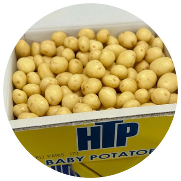 Potato Baby  holland 🇳🇱