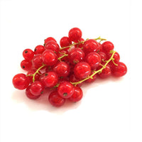 Red Currant Holland 🇳🇱