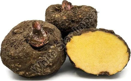 Yam (Suran ) India 🇮🇳