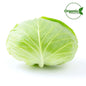 Cabbage Flat Organic  Size:  1 piece ~1Kg UAE 🇦🇪