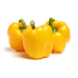 Capsicum Yellow. Size: 2 pieces  ~300-350g Holland 🇳🇱