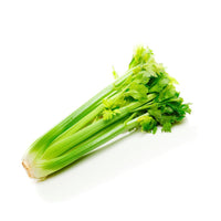Celery Stick premium quality China 🇨🇳