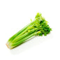 Celery Stick 1 kg  China 🇨🇳