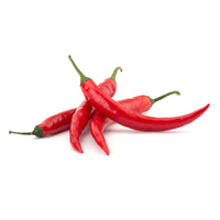 Chilli Red premium quality Holland 🇳🇱