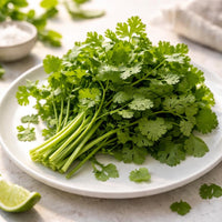 Coriander Leaves (Dhania) Premium Quality UAE 🇦🇪