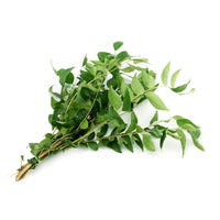 Curry Leaves by air India