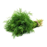 Dill Leaves Premium Quality UAE 🇦🇪