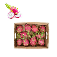 Dragon Fruits Premium Quality vietnam 🇻🇳