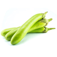 Eggplant Green Premium Quality UAE 🇦🇪