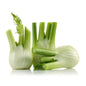Fennel. Size: 250g Holland 🇳🇱