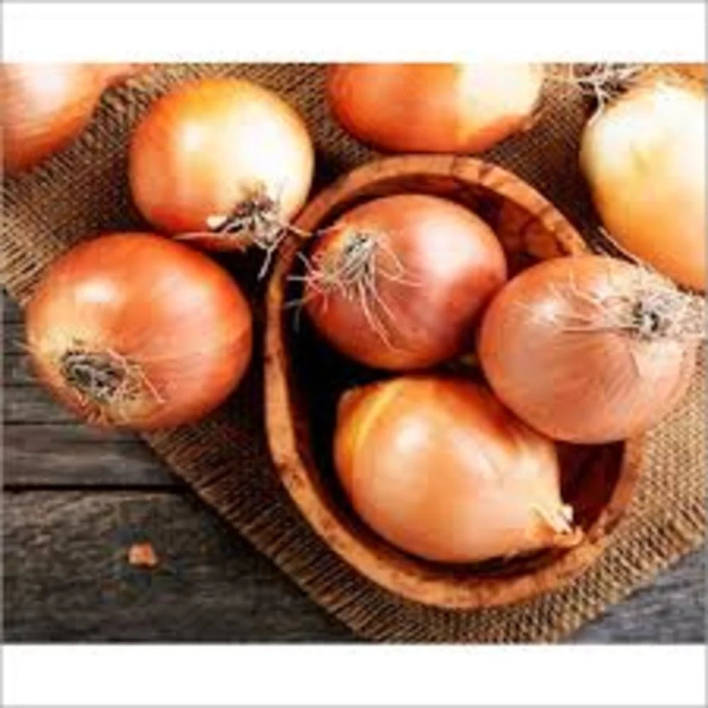 Onion Brown Organic India 🇮🇳
