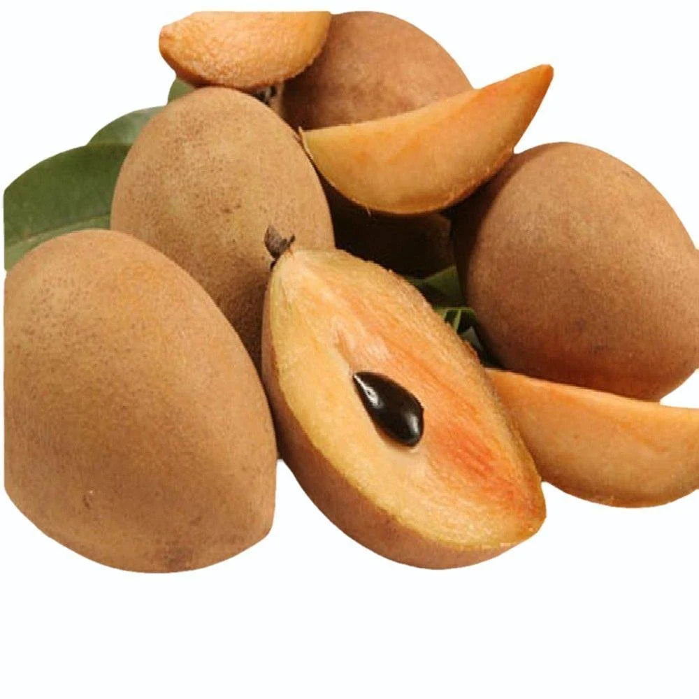 Chikoo Premium India 🇮🇳