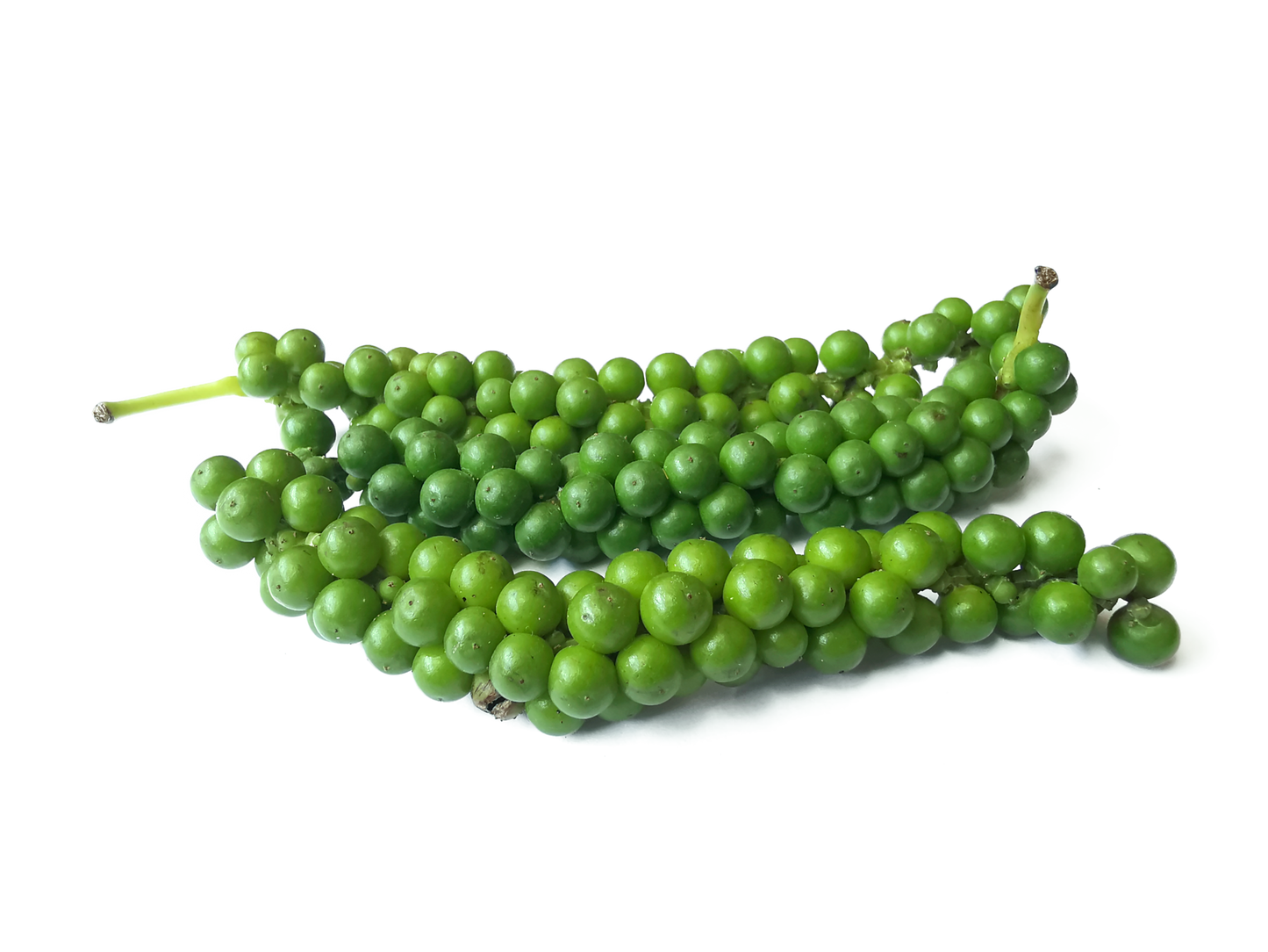 Green Pepper Corn(Thailand)🇹🇭
