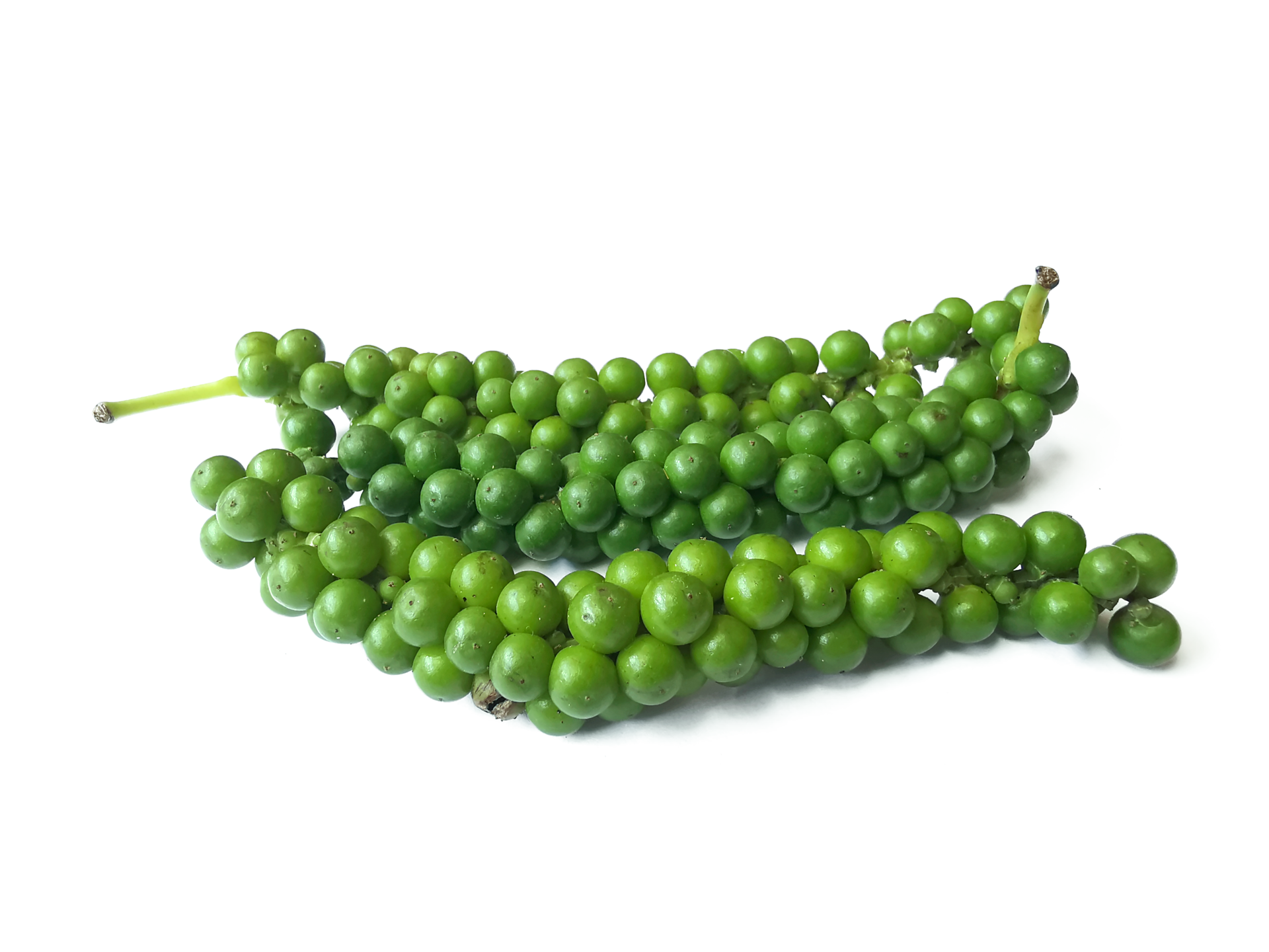 Green Pepper Corn(Thailand)🇹🇭