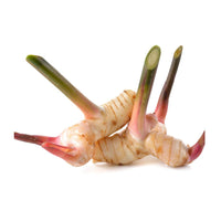 Galanga (Galangal) Premium Quality Thailand 🇹🇭
