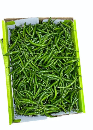 Chilli green Premium Quality Indian 🇮🇳
