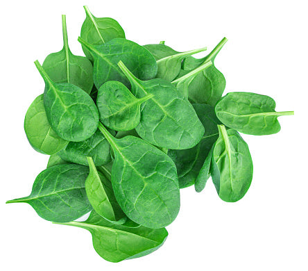 Spinach Leaves Premium Quality (Italy)🇮🇹