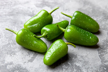 Jalapeno Chilly Premiun Quality GGC