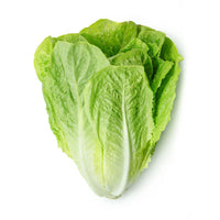 Lettuce Romaine Oman 🇴🇲