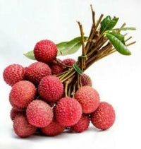 Lychee 500g china 🇨🇳