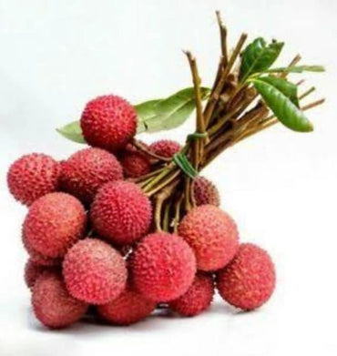 Lychee 500g china 🇨🇳