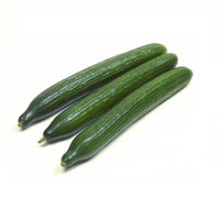 Cucumber English premium Quality Spain 🇪🇸