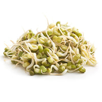 Moong Bean Sprouts Pack UAE 🇦🇪