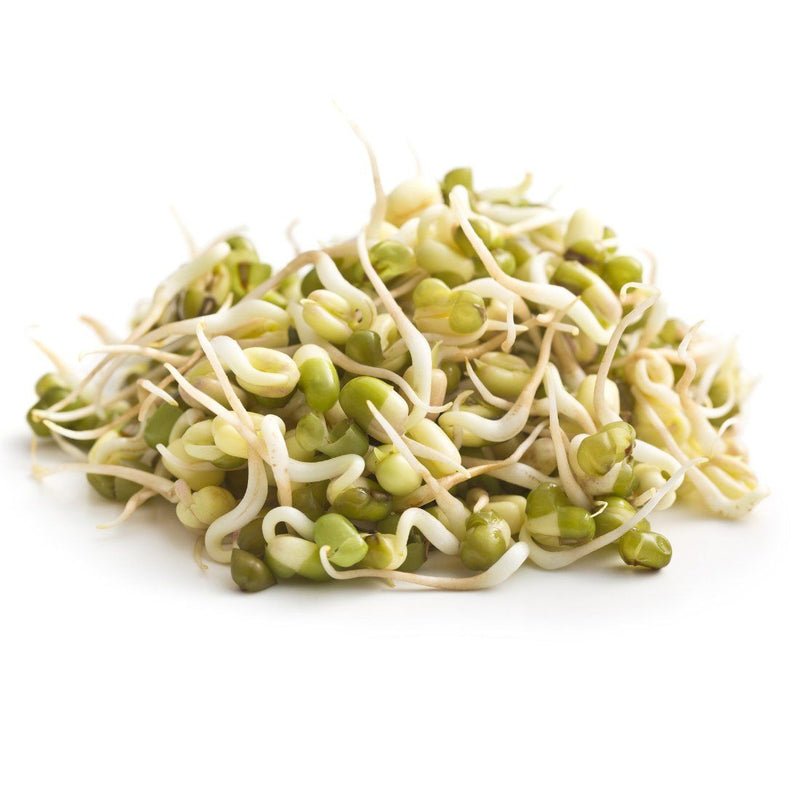 Moong Bean Sprouts Pack UAE 🇦🇪