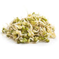 Moong Bean Sprouts.400g 1 Pack UAE 🇦🇪