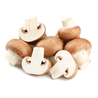 Mushroom Brown Holland 🇳🇱