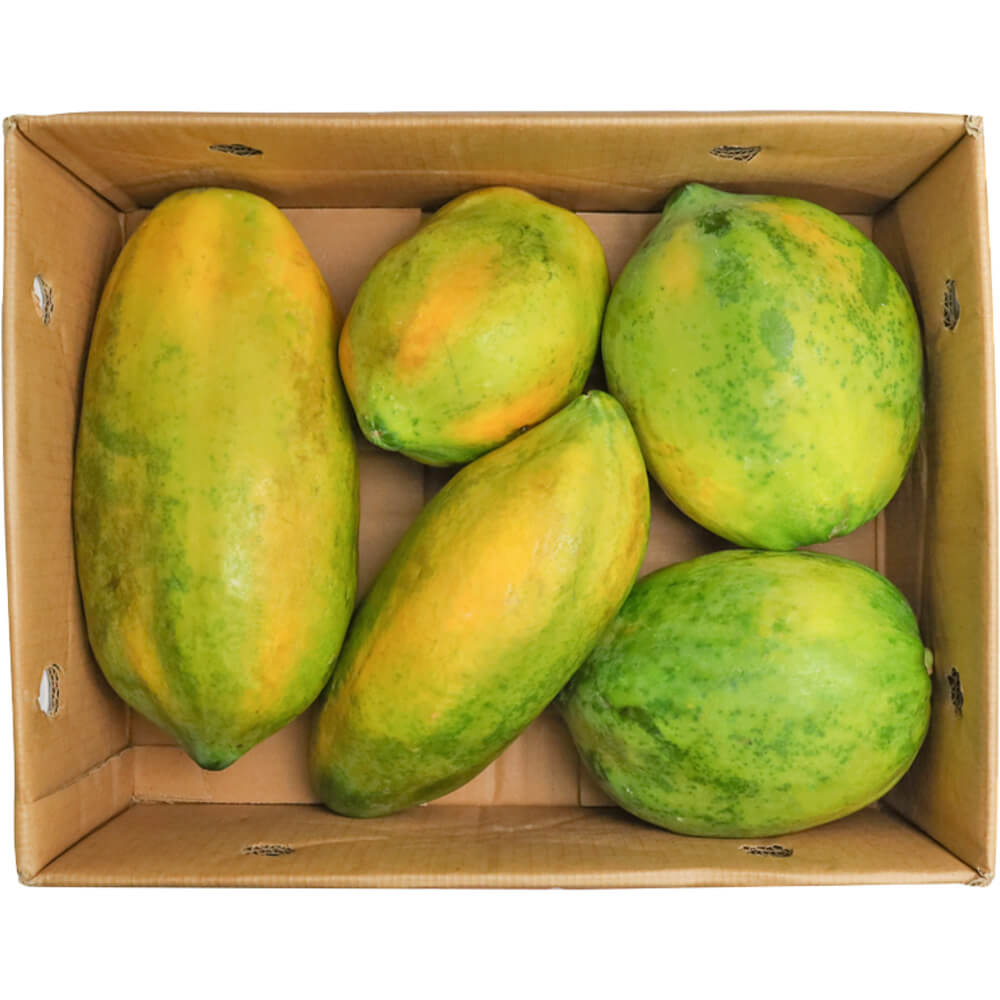 Papaya Premium - Sri Lanka 🇱🇰