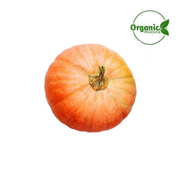 Pumpkin Red Organic India 🇮🇳