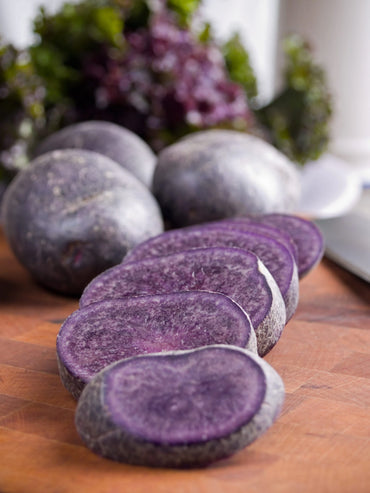 Purple Potato Approx Netherlands 🇳🇱