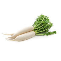 Radish White UAE 🇦🇪