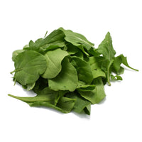 Fresh Baby Rocca Leaves Sanitized UAE 🇦🇪