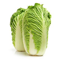 Cabbage Premium Quality Chinese (Netherlands)🇳🇱