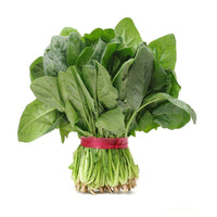 Spinach (Palak) UAE 🇦🇪