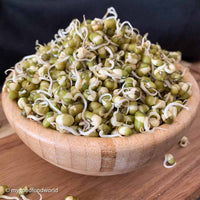 Moong Bean Sprouts Pack UAE 🇦🇪