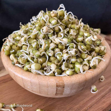 Moong Bean Sprouts Pack UAE 🇦🇪